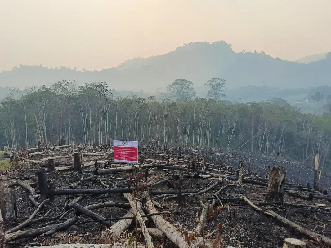 Empat Perusahaan Kehutanan di Kalbar Diperiksa Kesiapan Tangani Karhutla Jelang Musim Kemarau